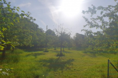 IMG-20220518-WA0002